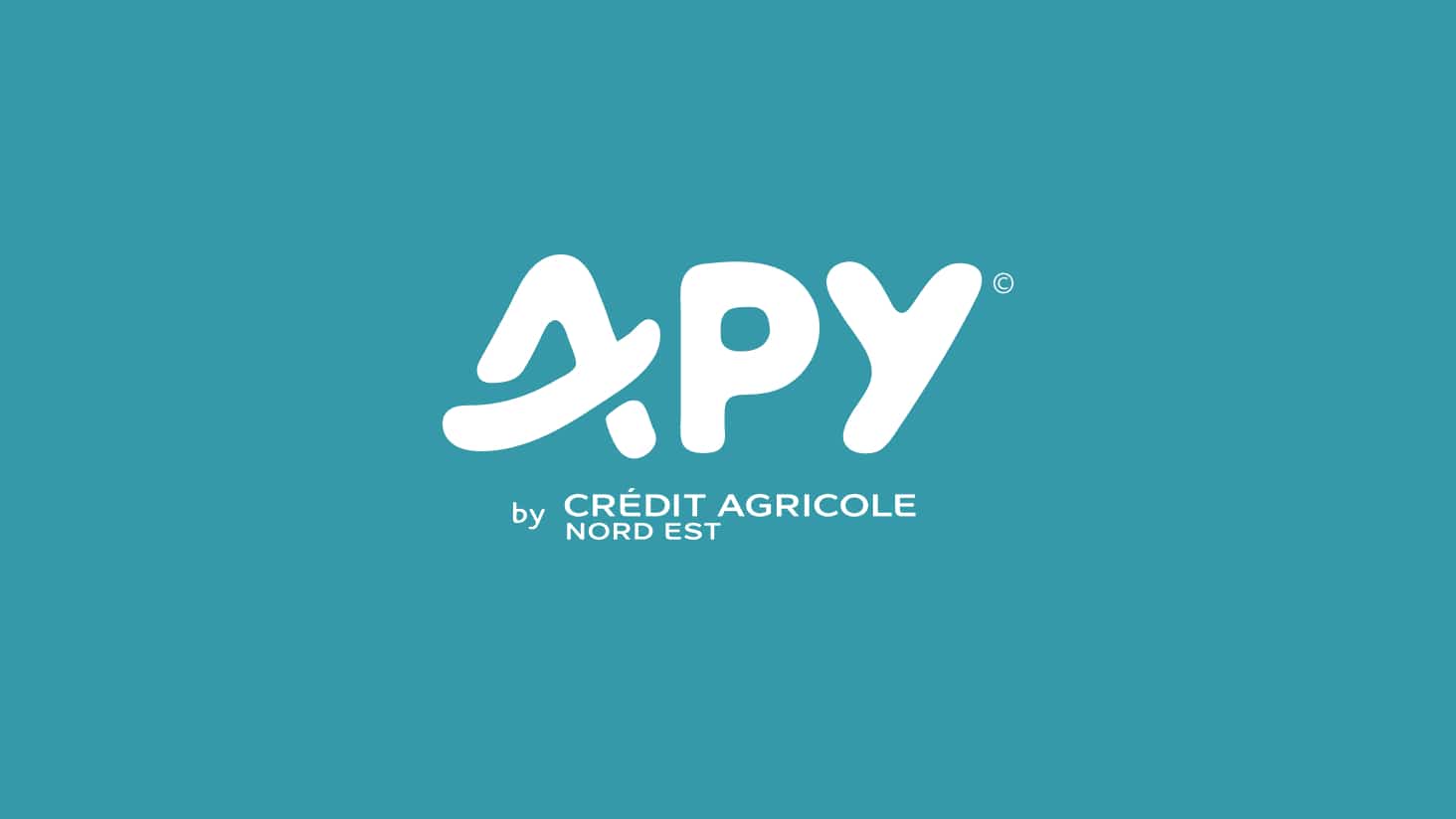 Image Logo Apy Bank